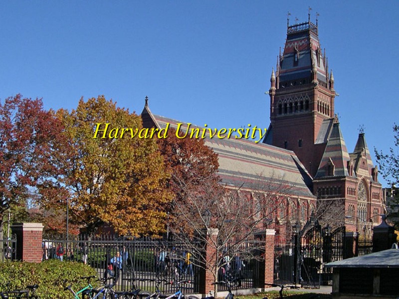 Harvard University  Harvard University